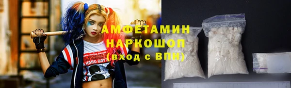 гидра Аркадак