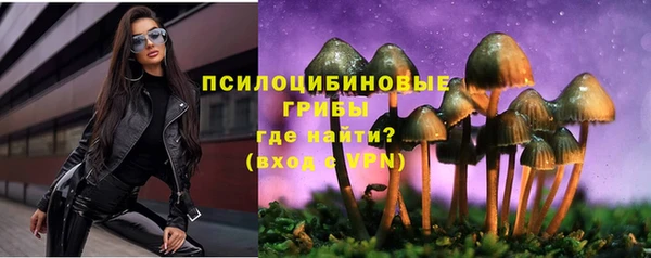 МДПВ Алексин