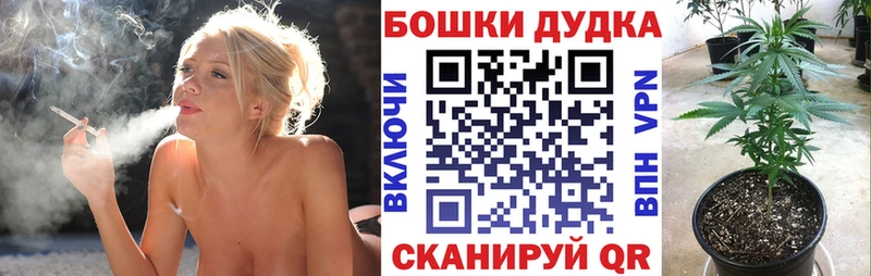 hydra как войти  продажа наркотиков  Хвалынск  Бошки Шишки MAZAR 